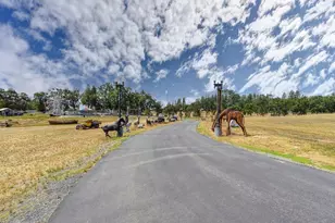 16390 Ridge Rd, Jackson, CA 95642 - Photo 9