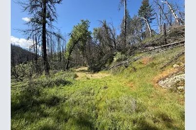 20976 Clydesdale Road, Grass Valley, CA 95949 - Photo 39