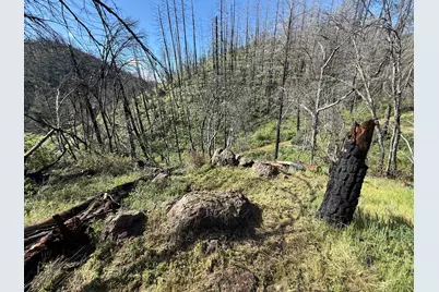 20976 Clydesdale Road, Grass Valley, CA 95949 - Photo 27