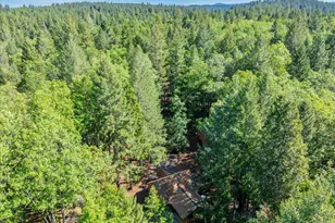 3000 Succor Ln, Foresthill, CA 95631 - Photo 51