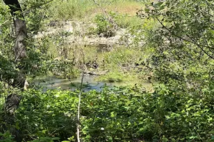 12661 Krosens Rd, Marysville, CA 95901 - Photo 63