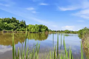 8904 Royal Gate Way, Elk Grove, CA 95624 - Photo 65