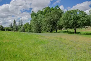 2640 Hoboken Creek Rd, Greenwood, CA 95635 - Photo 9