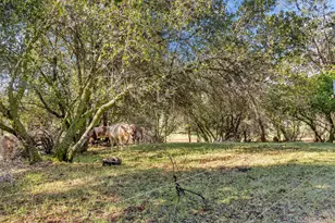 12320 Poppy Ln, Auburn, CA 95602 - Photo 33