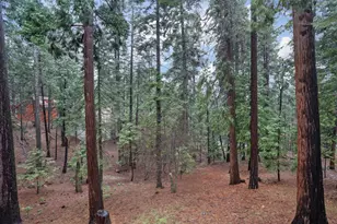 1996 Seminole Way, Arnold, CA 95223 - Photo 53