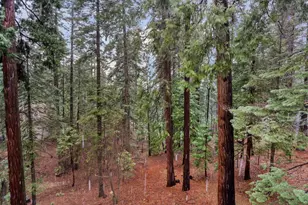 1996 Seminole Way, Arnold, CA 95223 - Photo 29