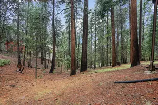 1996 Seminole Way, Arnold, CA 95223 - Photo 55