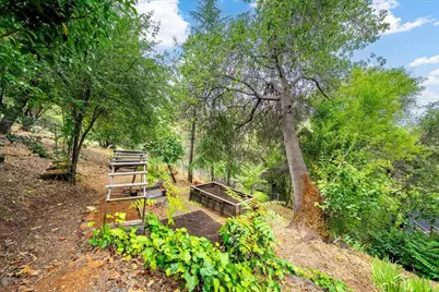 303 Live Oak Street, Auburn, CA 95603 - Photo 35
