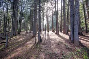 4620 Dio Linda Ct, Pollock Pines, CA 95726 - Photo 7