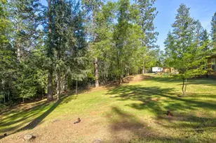 3830 Dogwood Pass Rd, Mokelumne Hill, CA 95245 - Photo 45