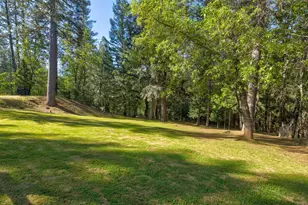 3830 Dogwood Pass Rd, Mokelumne Hill, CA 95245 - Photo 47
