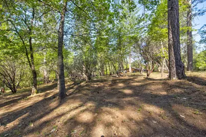 3830 Dogwood Pass Road, Mokelumne Hill, CA 95245 - Photo 53