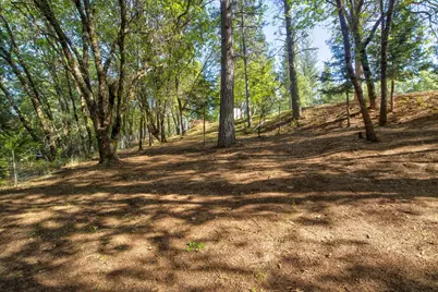 3830 Dogwood Pass Road, Mokelumne Hill, CA 95245 - Photo 49