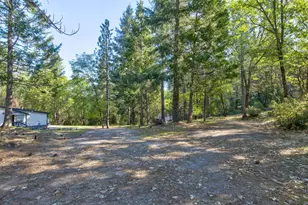 3830 Dogwood Pass Rd, Mokelumne Hill, CA 95245 - Photo 55