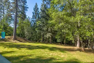 3830 Dogwood Pass Rd, Mokelumne Hill, CA 95245 - Photo 15