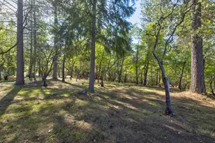 3830 Dogwood Pass Rd, Mokelumne Hill, CA 95245 - Photo 51