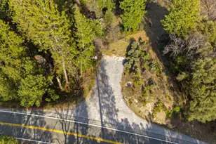 15528 CA-49, Camptonville, CA 95922 - Photo 47