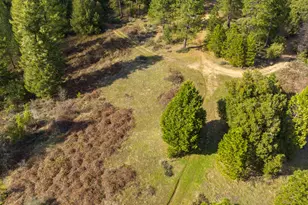 15528 CA-49, Camptonville, CA 95922 - Photo 43