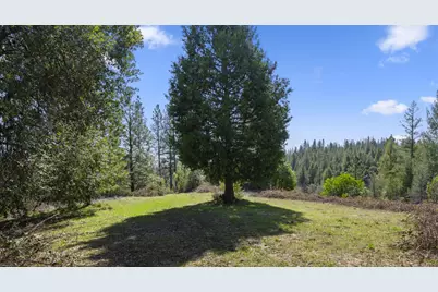 15528 Ca-49, Camptonville, CA 95922 - Photo 37