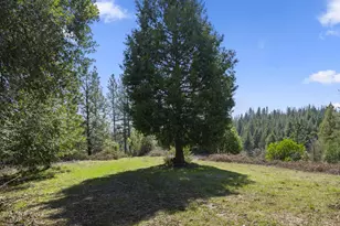 15528 CA-49, Camptonville, CA 95922 - Photo 37