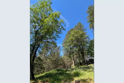 15528 Ca-49, Camptonville, CA 95922 - Photo 63