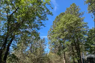 15528 CA-49, Camptonville, CA 95922 - Photo 63