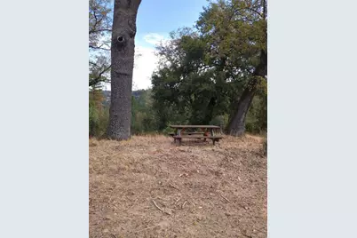15528 Ca-49, Camptonville, CA 95922 - Photo 87