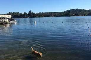 12022 Lakeshore N, Auburn, CA 95602 - Photo 63