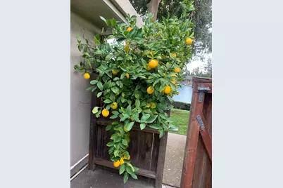 2350 Pheasant Run Circle, Stockton, CA 95207 - Photo 87