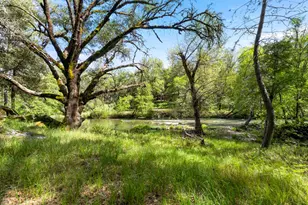 7321 Morning Canyon Rd, Placerville, CA 95667 - Photo 21