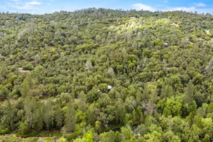 7321 Morning Canyon Rd, Placerville, CA 95667 - Photo 37