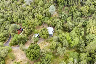 7321 Morning Canyon Rd, Placerville, CA 95667 - Photo 35