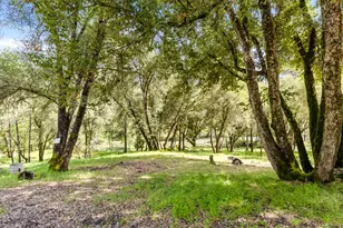 7321 Morning Canyon Rd, Placerville, CA 95667 - Photo 19