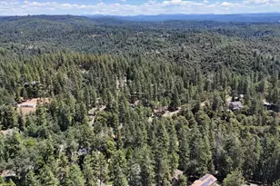 21349 Leslie Dr, Grass Valley, CA 95945 - Photo 73