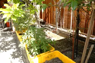 1846 Arroyo De Platina, San Jose, CA 95116 - Photo 37