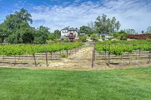 2380 Delmar Ave, Penryn, CA 95663 - Photo 61