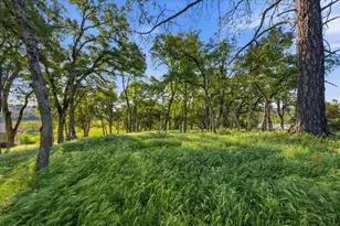 20601 John Born Rd, Penn Valley, CA 95946 - Photo 45
