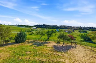 20601 John Born Rd, Penn Valley, CA 95946 - Photo 31