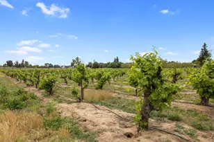 16750 E 88, Lockeford, CA 95237 - Photo 45