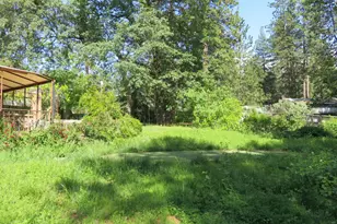 2400 Bald Mountain Rd, West Point, CA 95255 - Photo 33