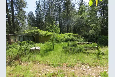2400 Bald Mountain Road, West Point, CA 95255 - Photo 31