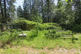 2400 Bald Mountain Rd, West Point, CA 95255 - Photo 31