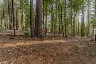 11240 Winding Way, Clipper Mills, CA 95930 - Photo 53
