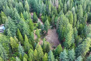 2025 King of the Mountain Ct, Pollock Pines, CA 95726 - Photo 9