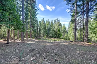 2025 King Of The Mountain Court, Pollock Pines, CA 95726 - Photo 21