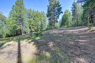 2025 King of the Mountain Ct, Pollock Pines, CA 95726 - Photo 23