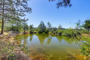 13551 Brannon Ct, Nevada City, CA 95959 - Photo 75