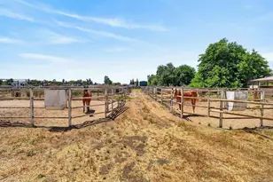 24390 N Jack Tone Rd, Acampo, CA 95220 - Photo 13