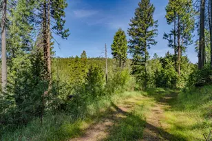4040 Cedar Creek Rd, Mount Aukum, CA 95629 - Photo 43