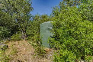 4040 Cedar Creek Rd, Mount Aukum, CA 95629 - Photo 39